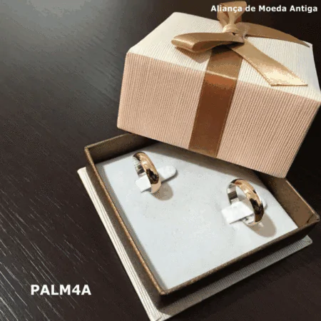 PALM4A